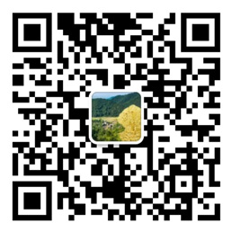 彩神彩票vIII